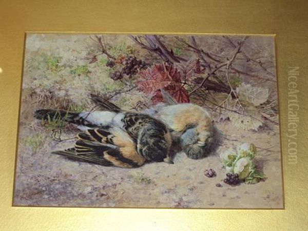 Dead Finches - view 1