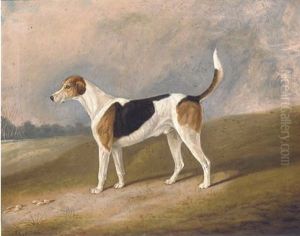 "bluecap" A Prize Hound by Edith Corbet