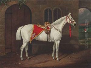A Grey Charger With A Scarlet And Leopardskin Regimental Shabraque Embroidered Vr