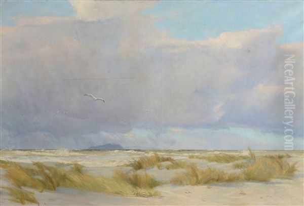 Passing Storm - view 1