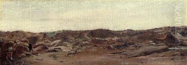 Desert Landscape - view 1