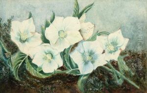 White Flowers On A Mossy Bank by Helen Cordelia Coleman Angell