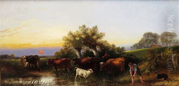 Cattle In A Pasture At Dusk - view 1