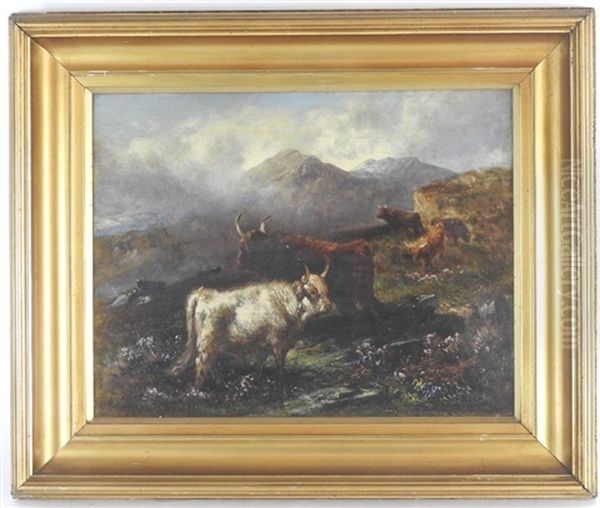 Highland Cattle In A Mountainous Landscape - view 1