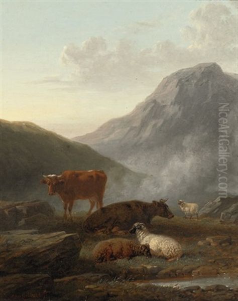 Highland Cattle - view 1