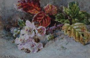 No 4 Bramble Blossom by Helen Cordelia Coleman Angell