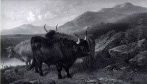 West Highland Scots