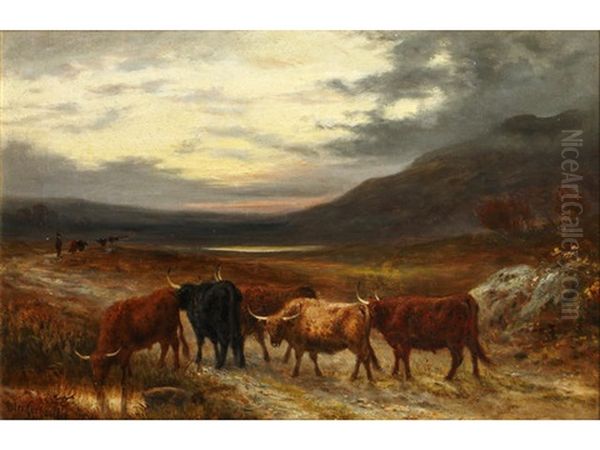 Highland Cattle; And Companion (pair) - view 1