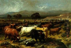 Collecting Cattle For The Fair In The Highlands by Aster R. Chantrey Corbould
