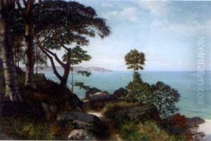 An Extensive Coastal View
