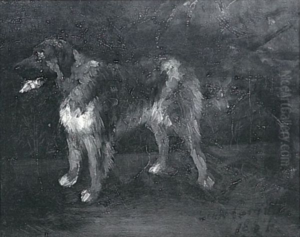 Hundestudie - view 1