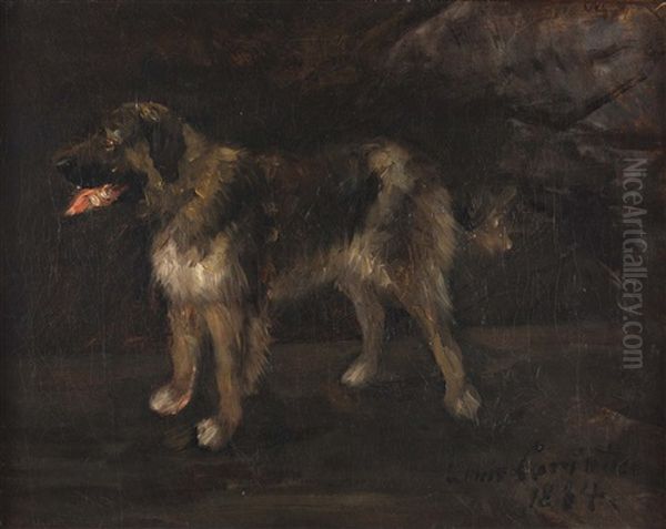 Hundestudie Zu "das Komplott - view 1