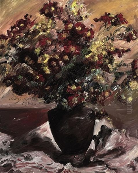 Gelbe Und Rote Astern, Herbstblumen - view 1