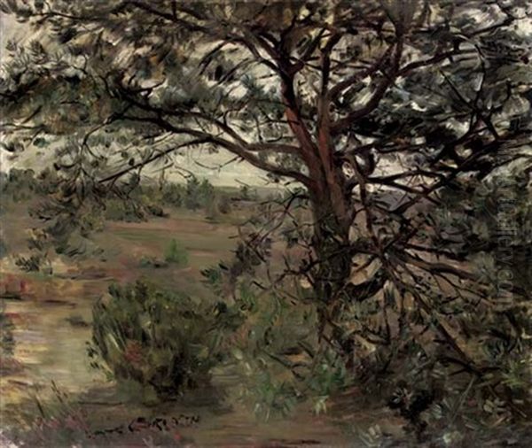 Luneburger Heide - view 1