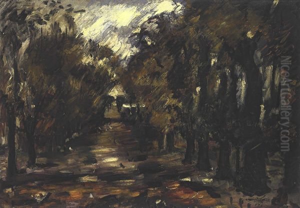 Baumallee In Niendorf - view 1