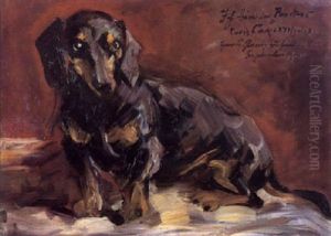 Der Schwarze Dackel by Lovis (Franz Heinrich Louis) Corinth