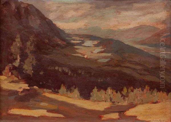 Tiroler Landschaft - view 1