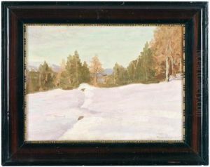 Winter Am Pillberg by Max Angerer