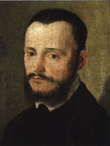 Portrait D'homme Barbu by Corneille de Lyon