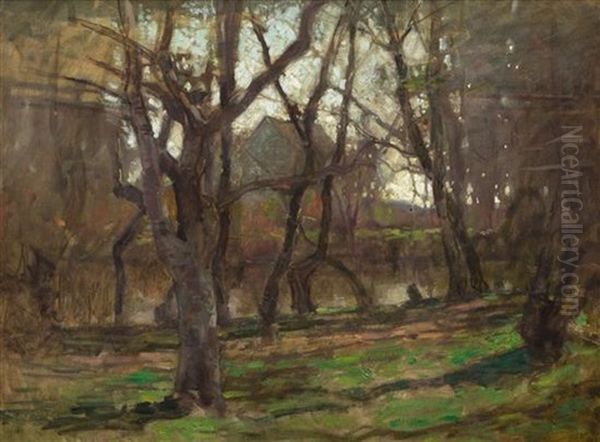River Through The Woods - view 1