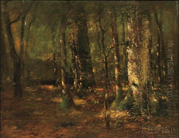 Woodland Landscape - view 1