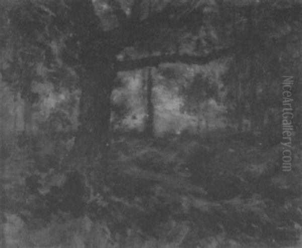 Wooded Landscape - view 1
