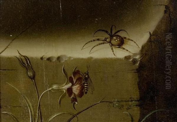 Still Life - view 1