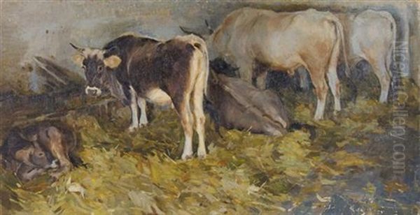 Cows - view 1