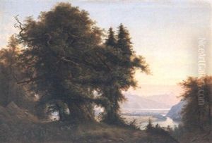Blick Vom Burghugel Goldswil Gegen Unterseen Und Thunersee