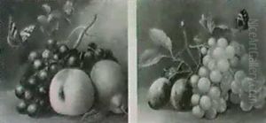 Fruchtestilleben Mit Schmetterling by Joseph Correggio