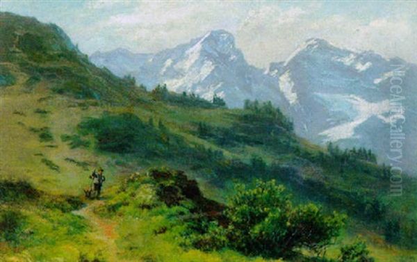 Alm - Hinterris / Tirol - view 1