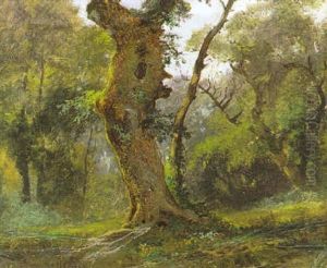 Albero by Hermann David Solomon Corrodi