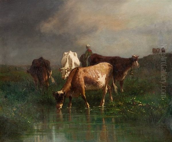 Vacas Bebiendo En El Charco - view 1