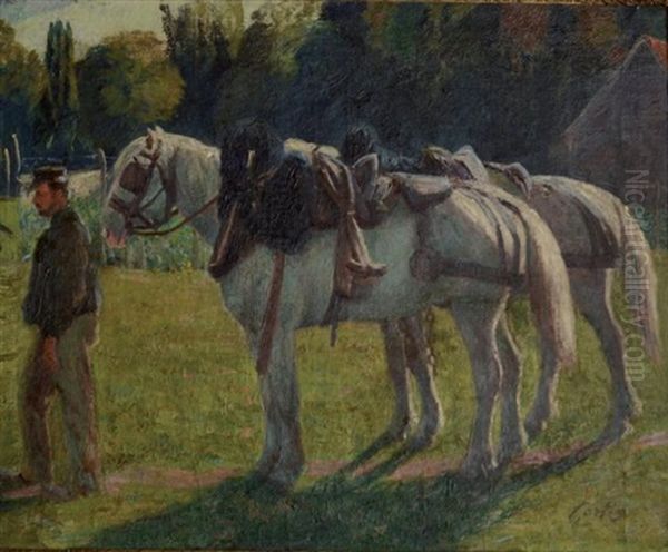 Les Chevaux De Labour - view 1