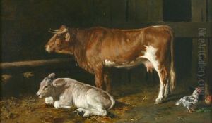 Kuh Und Kalb Im Stall Kuh Und Kalb Im Stall