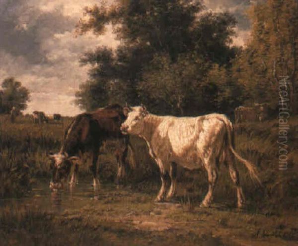 Cattle In A Meadow - view 1