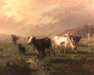 Vacas Pastando Vacas Pastando
