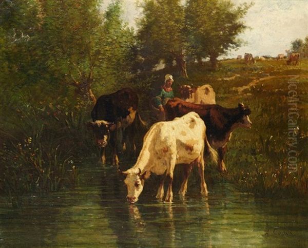 Vaches S'abreuvant - view 1