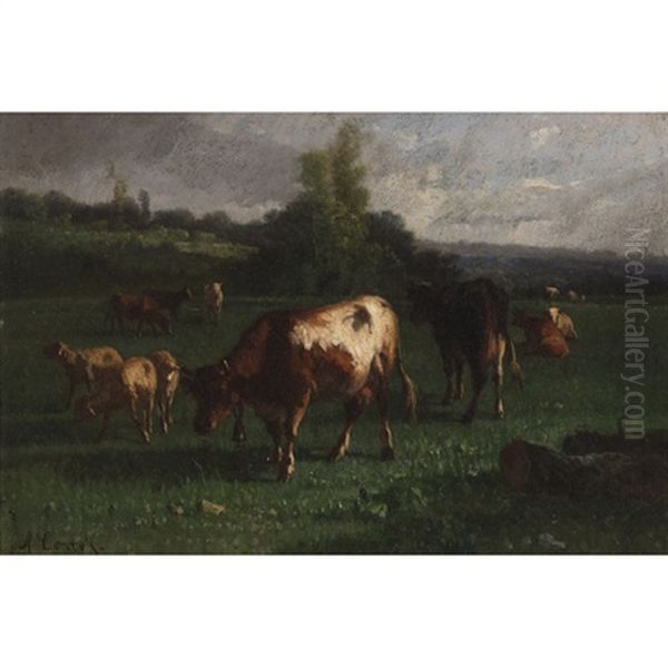 Cows And Sheep In A Pasture - view 1