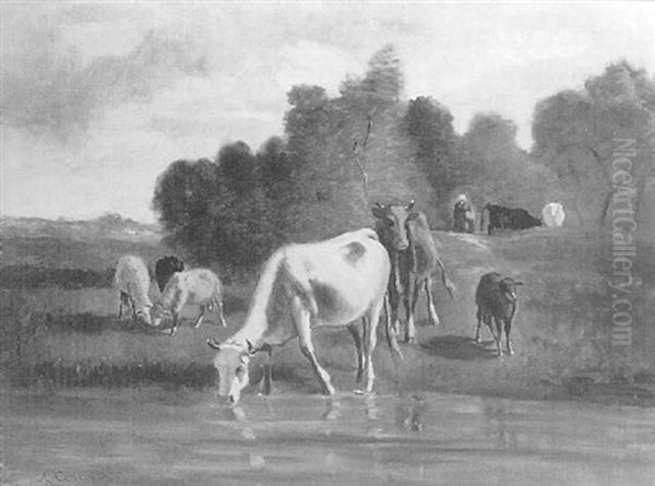 Cattle Grazing An Watering - view 1