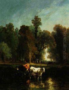 Vache A La Mare A L'oree De La Foret