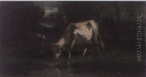 Vacas Paciendo - view 1