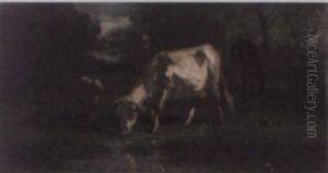 Vacas Paciendo Vacas Paciendo