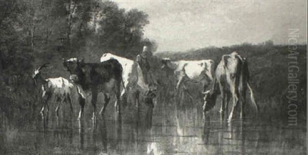 Cattle By A Pool - view 1