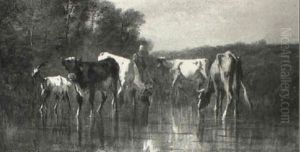 Cattle By A Pool Cattle By A Pool