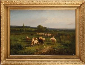 Moutons Au Paturage