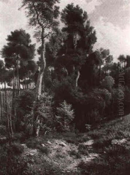 Contadina Nel Bosco - view 1