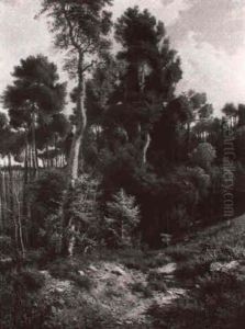 Contadina Nel Bosco by Giovanni Corvini