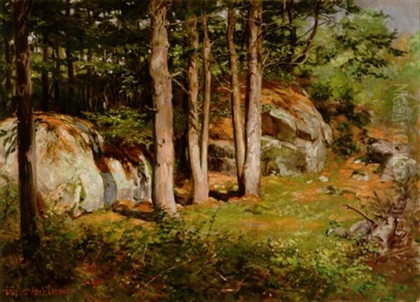 A Forest Interior - view 1