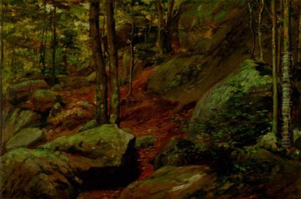 A Sun-dappled Path In The Woods - view 1